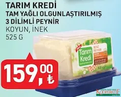 TARIM KREDİ TAM YAĞLI OLGUNLAŞTIRILMIŞ 3 DİLİMLİ PEYNİR KOYUN/İNEK 525 G TARIM KREDİ TAM YAĞLI OLGUNLAŞTIRILMIŞ 3 DİLİMLİ PEYNİR KOYUN/İNEK 525 G